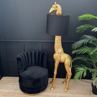 Gifts for People Who Have Everything - Limited Abode