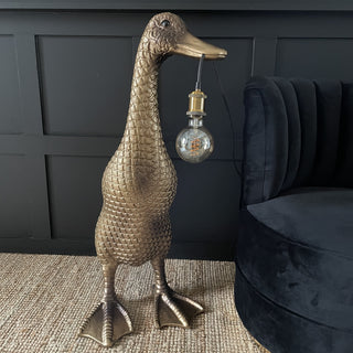 Wall & Floor Lamps
