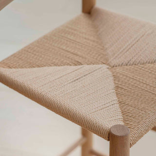 Backrest Bar Stool