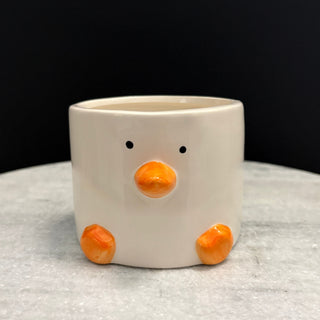 Bird Plant Pot