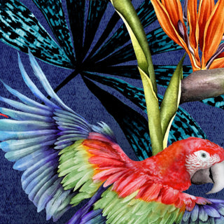 Blue Parrot Wallpaper - Avalana Design