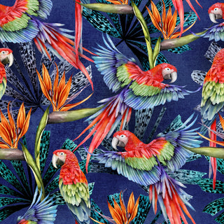 Blue Parrot Wallpaper - Avalana Design