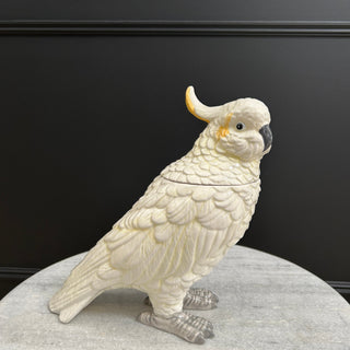 Ceramic Storage Jar - Limited Abode