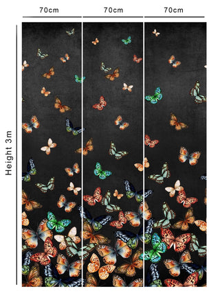 Dark Butterfly Wallpaper Mural - Avalana Design