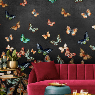 Dark Butterfly Wallpaper Mural - Avalana Design