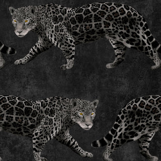 Dark Jaguar Wallpaper - REUSE DAWN - Limited Abode
