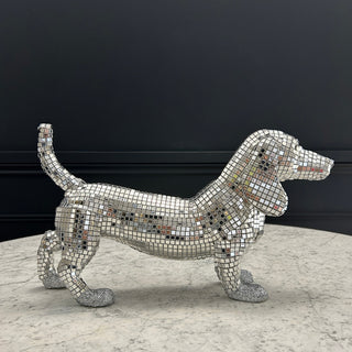 Disco Dog - Dawn re-use - Limited Abode 