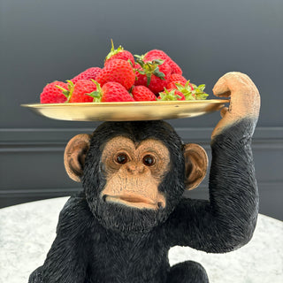 Display Tray