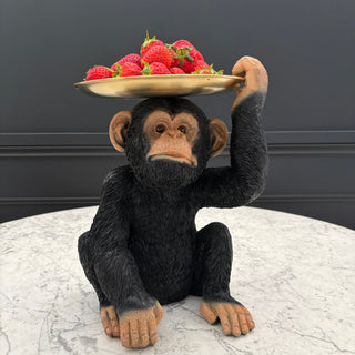 Display Tray