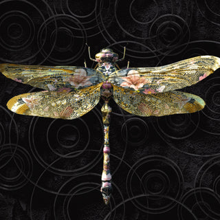Dragonfly Wallpaper - Limited Abode