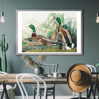 Duck Art - Limited Abode