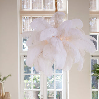 Feather Ceiling Light - Limited Abode