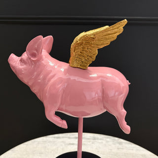 Flying Pig