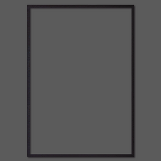 Frame Type - Limited Abode