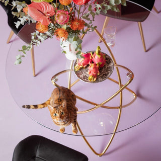 Glass Dining Room Table - Limited Abode