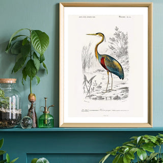 Heron Art - Limited Abode