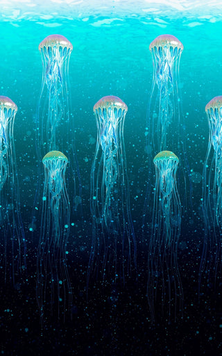 Jellyfish Wallpaper - Limited Abode