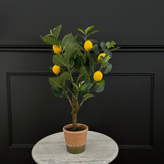 Lemon Tree - Limited Abode