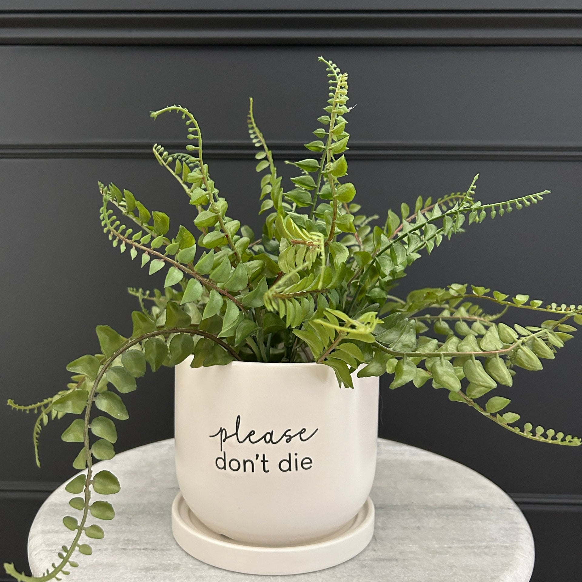 monochrome plant pot Monochrome Plant Pot