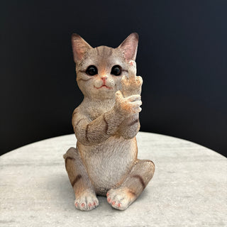 Naughty Cat