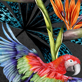 Parrot Wallpaper - Avalana Design