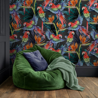 Parrot Wallpaper - Avalana Design