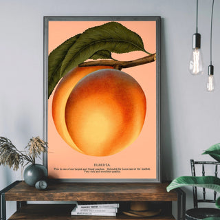 Peach Print - Limited Abode