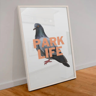 Pigeon Art
