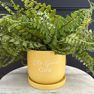 Plant Pot Yellow