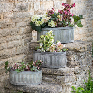 Planter Set - Limited Abode