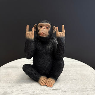 Rock Monkey