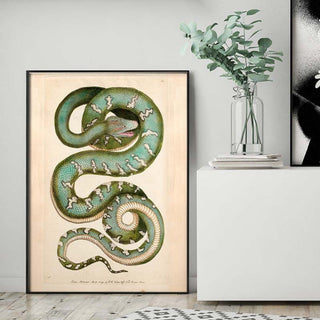 Snake Art - Limited Abode
