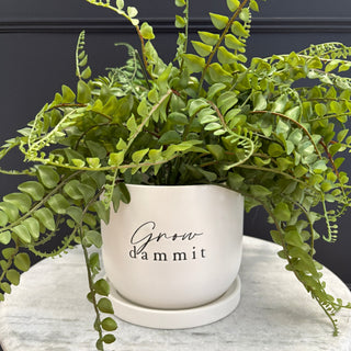 White Plant Pot