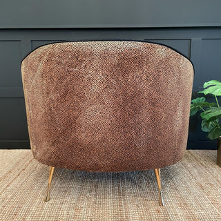 Animal Print Velvet Cocktail Chair - Limited Abode