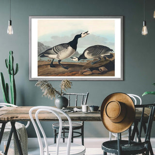 Bird Print - Limited Abode