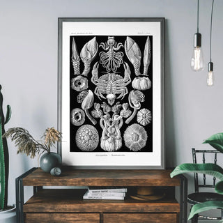 Black and White Art - Limited Abode