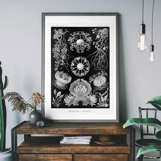 Black and White Print - Limited Abode