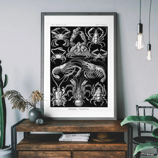 Crab Art - Limited Abode