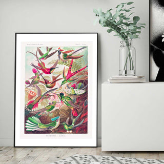 Exotic Birds Art Print - Limited Abode