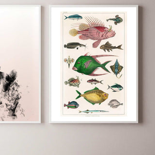 Fish Art Print - Limited Abode