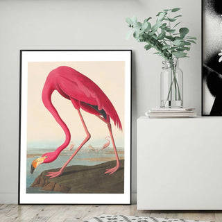 Flamingo Art Print - Limited Abode