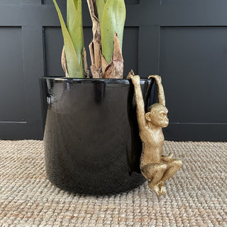 Gold Monkey Plant Pot Hanger - Limited Abode