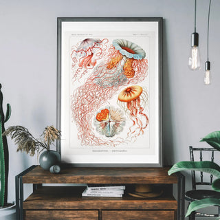 Jellyfish Art - Limited Abode