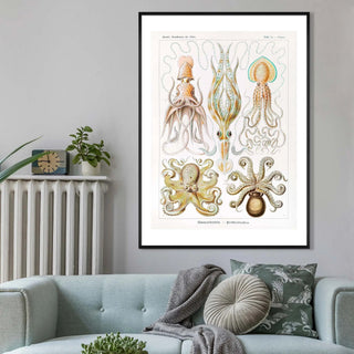 Octopus Art - Limited Abode