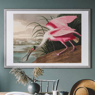 Spoonbill Art Print - Limited Abode