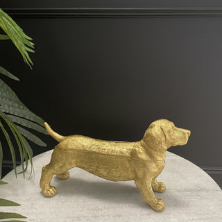 Trinket Box - Limited Abode