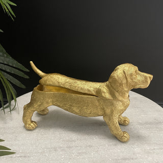 Trinket Box - Limited Abode
